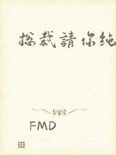 总裁请你纯洁点