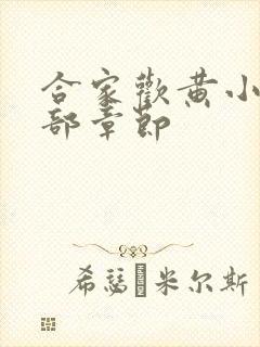 合家欢黄小梅全部章节