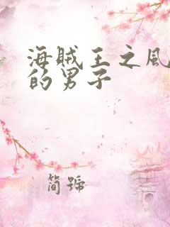海贼王之风一样的男子
