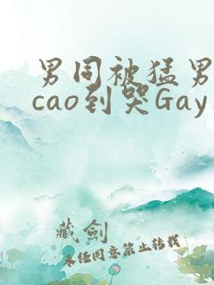 男同被猛男房东cao到哭Gay