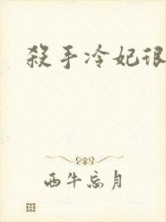 杀手冷妃很腹黑