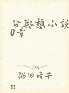 公与憩小说400章