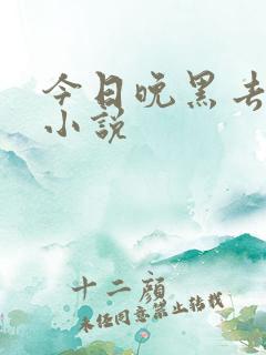 今日晚黑去见你小说