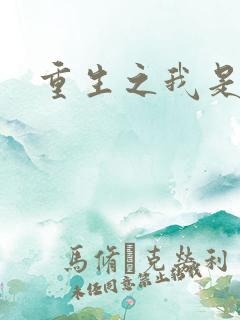 重生之我是段誉