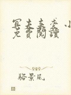 冥夫来袭 小说免费阅读