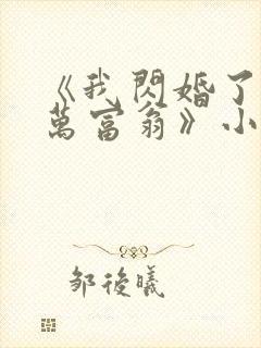 《我闪婚了个亿万富翁》小说