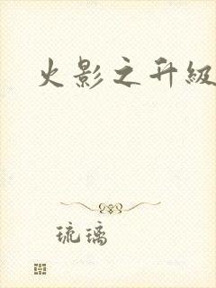 火影之升级狂人