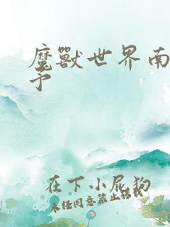 魔兽世界南音梦予