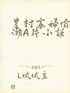 农村寡妇偷人高潮A片小说