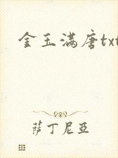金玉满唐txt
