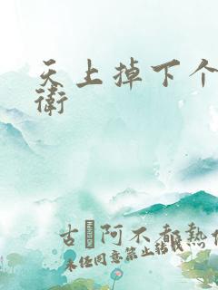 天上掉下个影卫卫