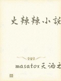 火辣辣小说全集