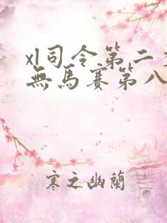 xl司令第二季无马赛第八集