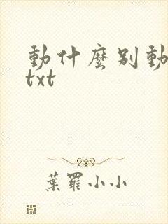 动什么别动感情txt