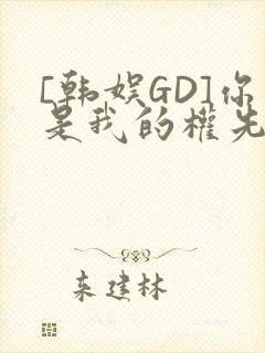 [韩娱GD]你是我的权先生