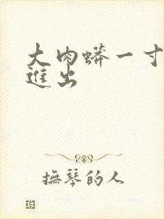 大肉蟒一寸一寸进出