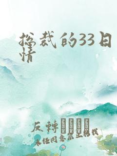总裁的33日索情