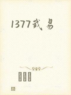 1377武易