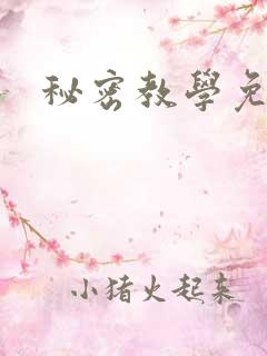 秘密教学免费