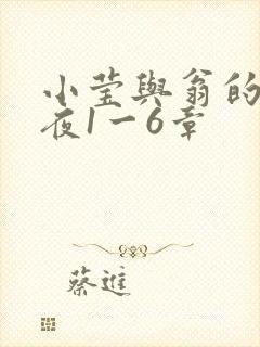 小莹与翁的销魂夜1一6章