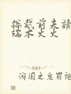 总裁前夫请自重端木火火