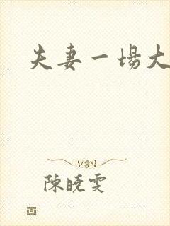 夫妻一场大结局