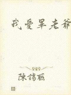 我爱毕老爷