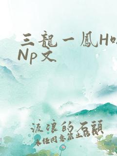 三龙一凤H啪肉Np文