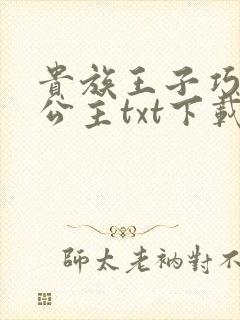 贵族王子巧遇穷公主txt下载