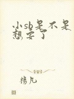 小sb是不是又想要了