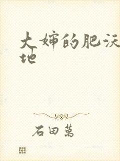 大婶的肥沃的土地