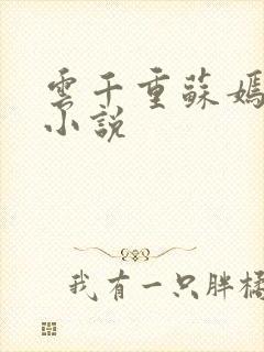 云千重苏嫣然的小说