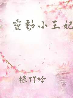 灵动小王妃