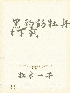 黑豹的牡丹txt下载