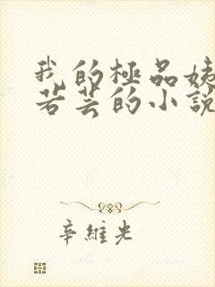 我的极品姨妈柳若芸的小说在线