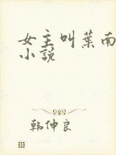 女主叫叶南初的小说