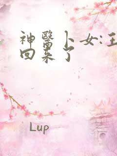 神医卜女:王妃回来了