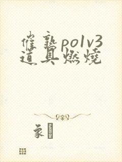 催熟po1v3道具燃烧