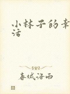 小林子的幸福生活