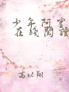 少 年 阿 宾 在 线 阅 读