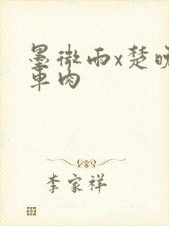 墨微雨x楚晚宁车肉