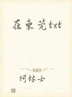 在东莞txt