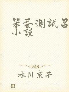 笨蛋测试召唤兽小说