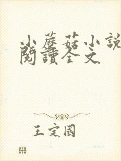 小蘑菇小说免费阅读全文