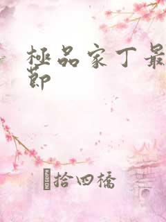 极品家丁最新章节