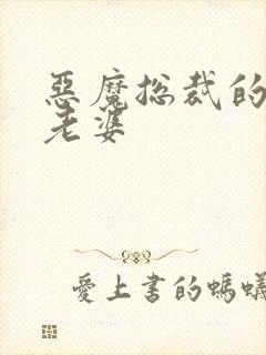 恶魔总裁的宝贝老婆