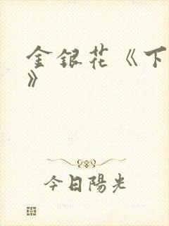 金银花《下厨房》