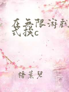 在无限游戏里花式挨c