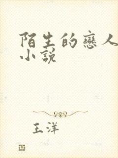 陌生的恋人原著小说