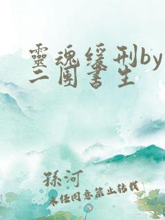 灵魂缓刑by 二团书生